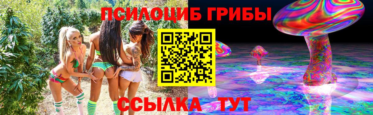 Галлюциногенные грибы Psilocybine cubensis  Вход с VPN  Псилоцибиновые грибы GOLDEN TEACHER  Рузаевка 